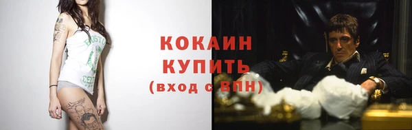 прущие грибы Кинешма