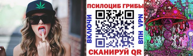 Купить закладки  Копейск  Псилоцибиновые грибы ЛСД 